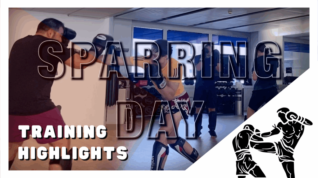 Kickboxen Wien Fit and Fun Vinko Youtube Video